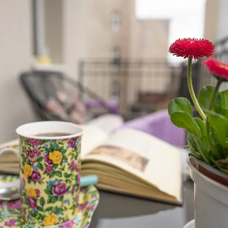 U Olechny 3 Apartment *