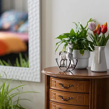 U Olechny 3 アパート