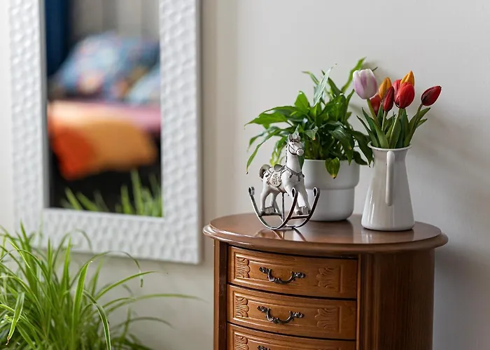 U Olechny 3 Apartman